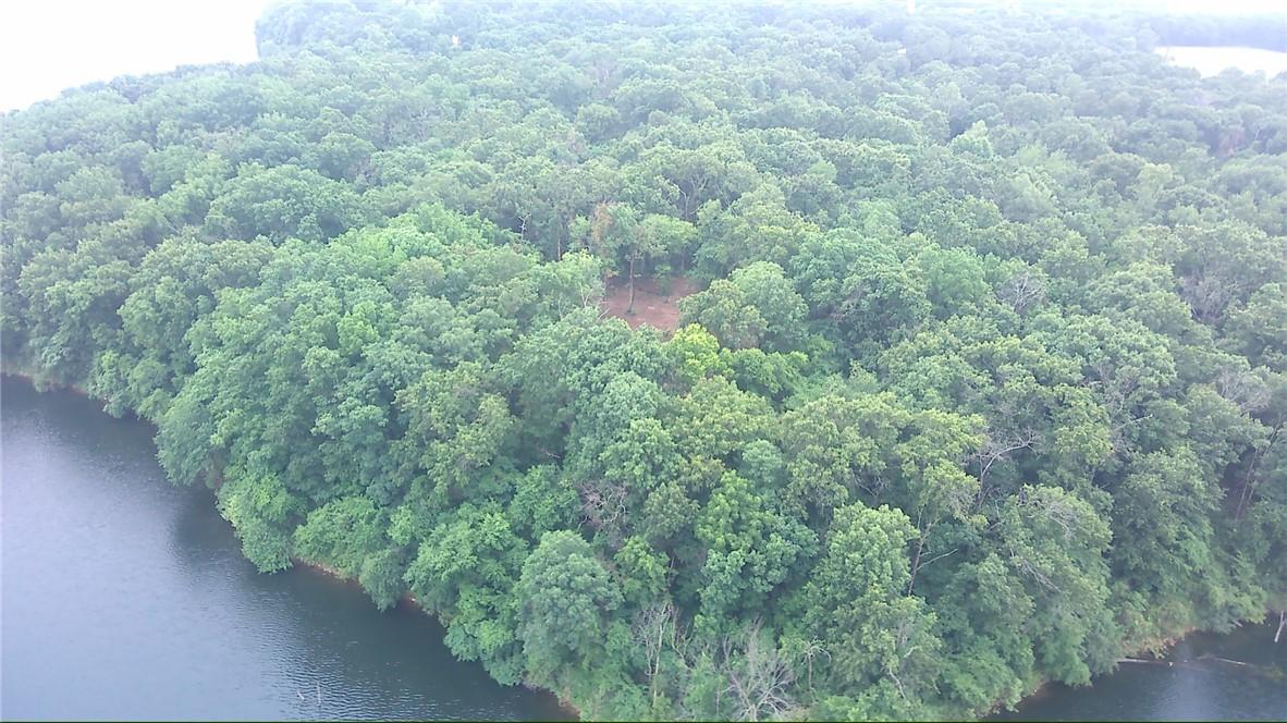 Image 3: Expansive wooded acreage featuring a significant w