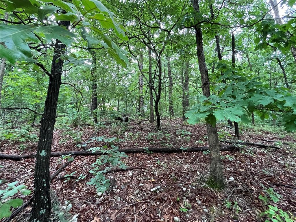 Image 2: Lot .31-acres gentle sloping.