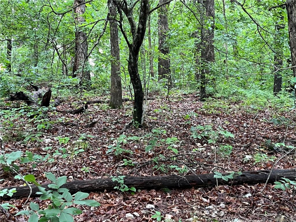 Image 3: SBA / Taylor Homestead trails nearby.