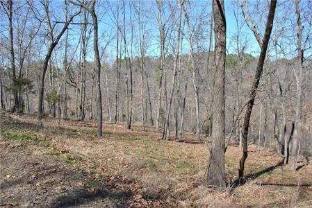 Lot 103A E Robin Road