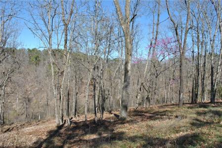 Lot 102A E Robin Road