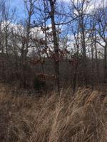 Lot 16 Kinross Drive