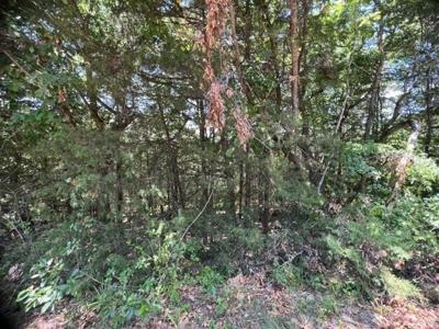 37 Leatherwood Drive