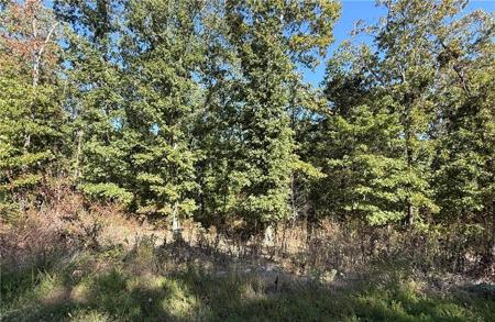 Lot 10, Block 5 Tummell Drive