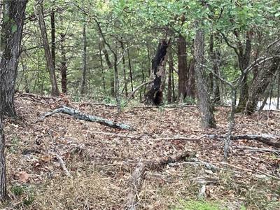 LOT 93 Oak Leaf Circle