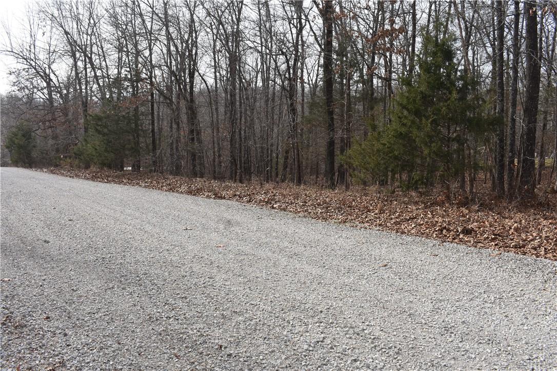 Image 1: View from the north on gravel road frontage.