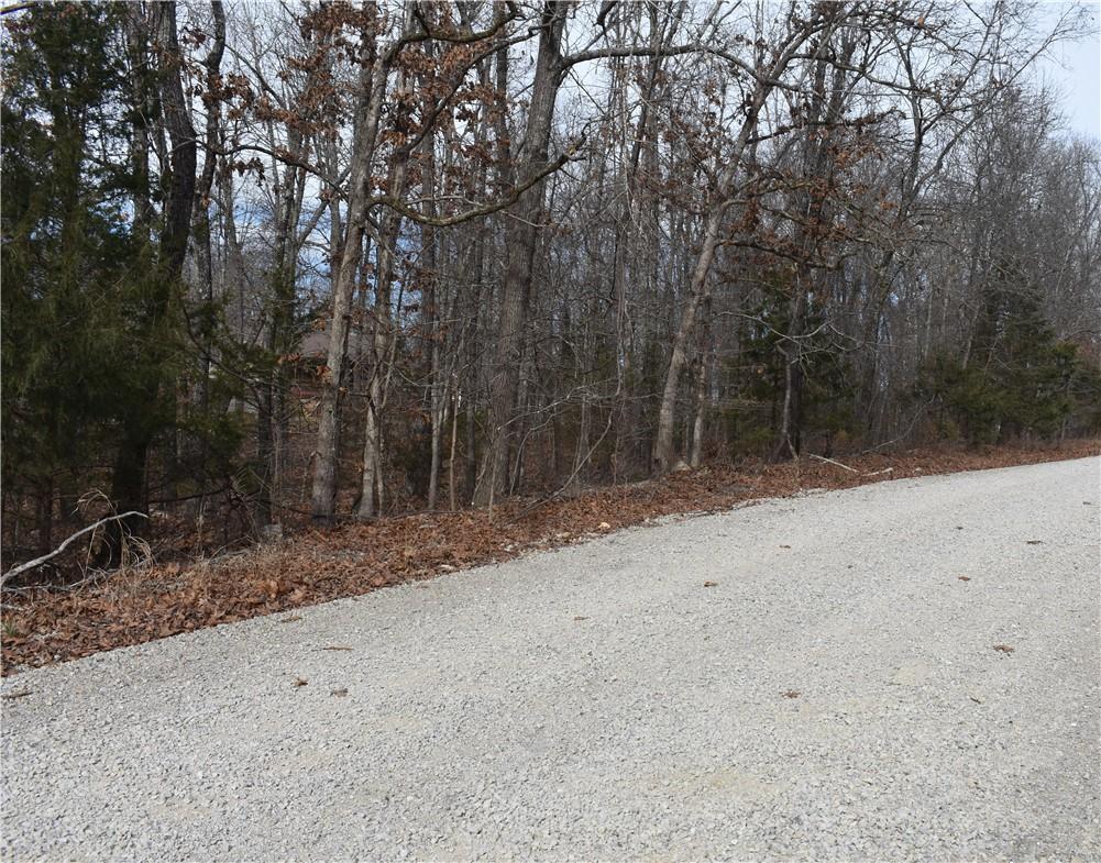Image 2: View from the south on gravel road frontage.
