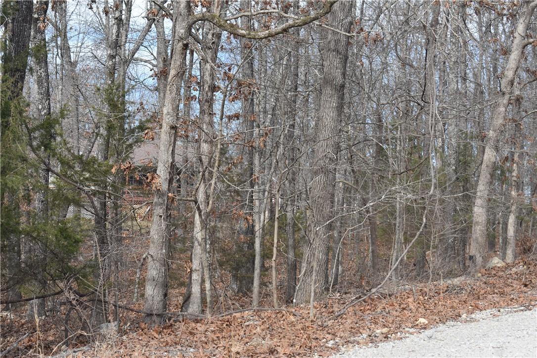 Image 2: View of local wilderness