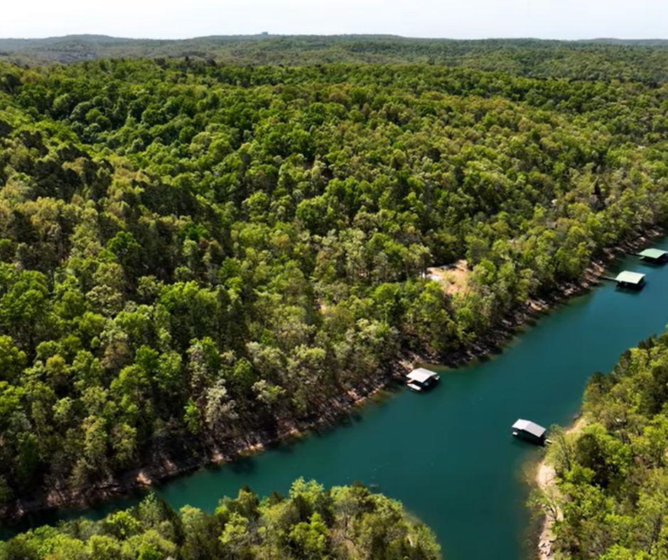 Image 3: Drone / aerial view of a forest and shoreline of B