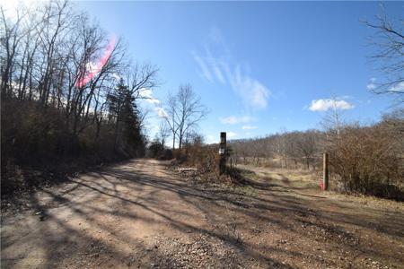 Walkenbach Tract 6 Road