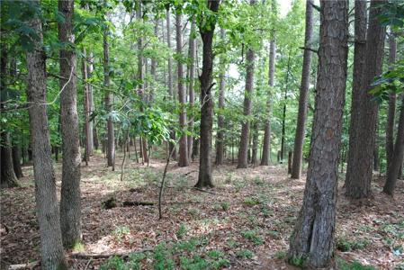 6.8 Acres Pullum Place Road