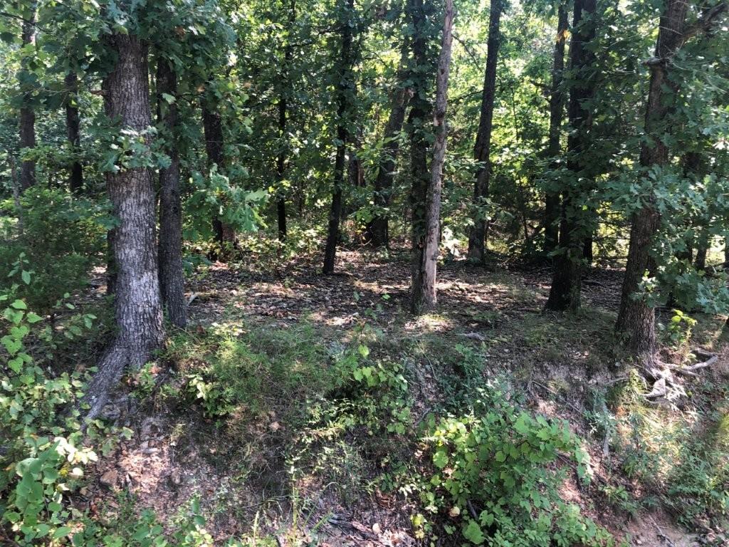 Image 1: Lot is nearly flat.