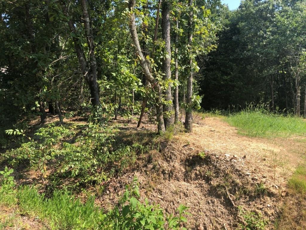 Image 3: Shows elevation above road and flatness of lot.