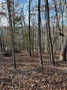 Lot 76 Shady Glen Road