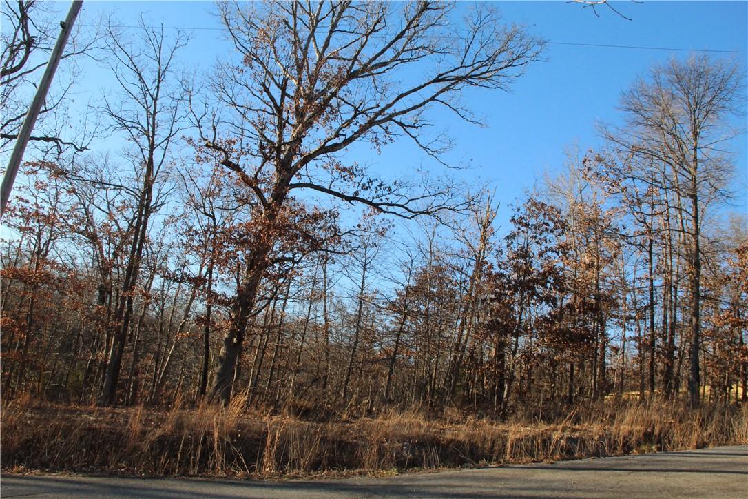 Image 4: Lot 7