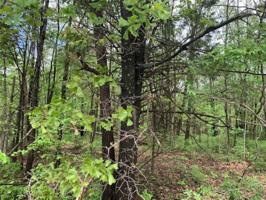 Lot 56 Posy Mountain Drive