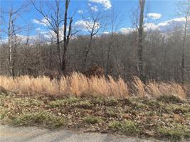 Lot 31, Block 2 Rountree Drive