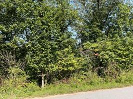 Lot 46 Leicester Drive