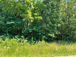 Posy Mountain Drive