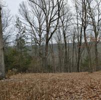 Lot 10 Green Glory Drive