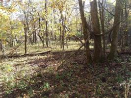 Esculapia Hollow Road