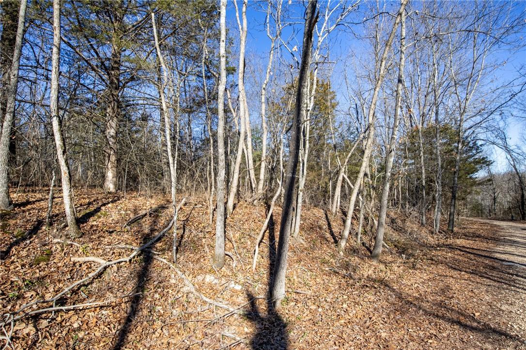 Image 1: Lot from road