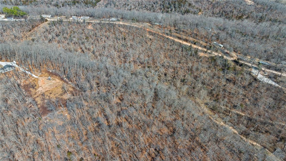 Image 4: Aerial view of a forest