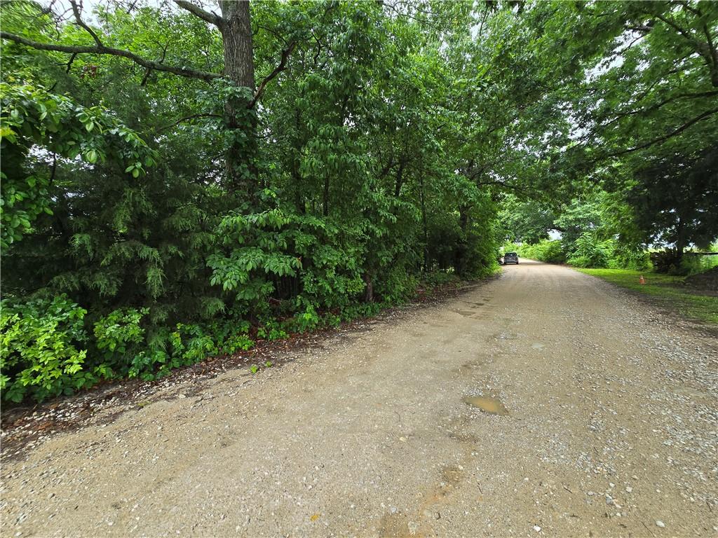 Image 2: Gravel driveway bordered by dense, mature foliage