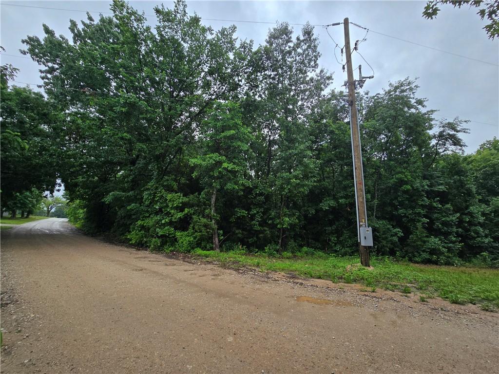 Image 3: Wooded lot featuring mature trees and a gravel roa