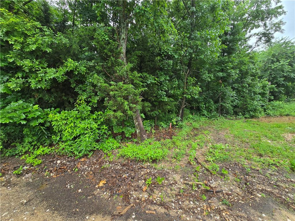 Image 4: Wooded lot with abundant mature trees and natural