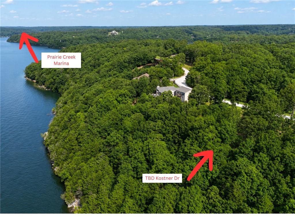 Image 2: Expansive wooded acreage bordering a body of water