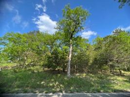 78 Narrows Drive