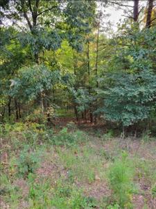 N Scotsdale Drive