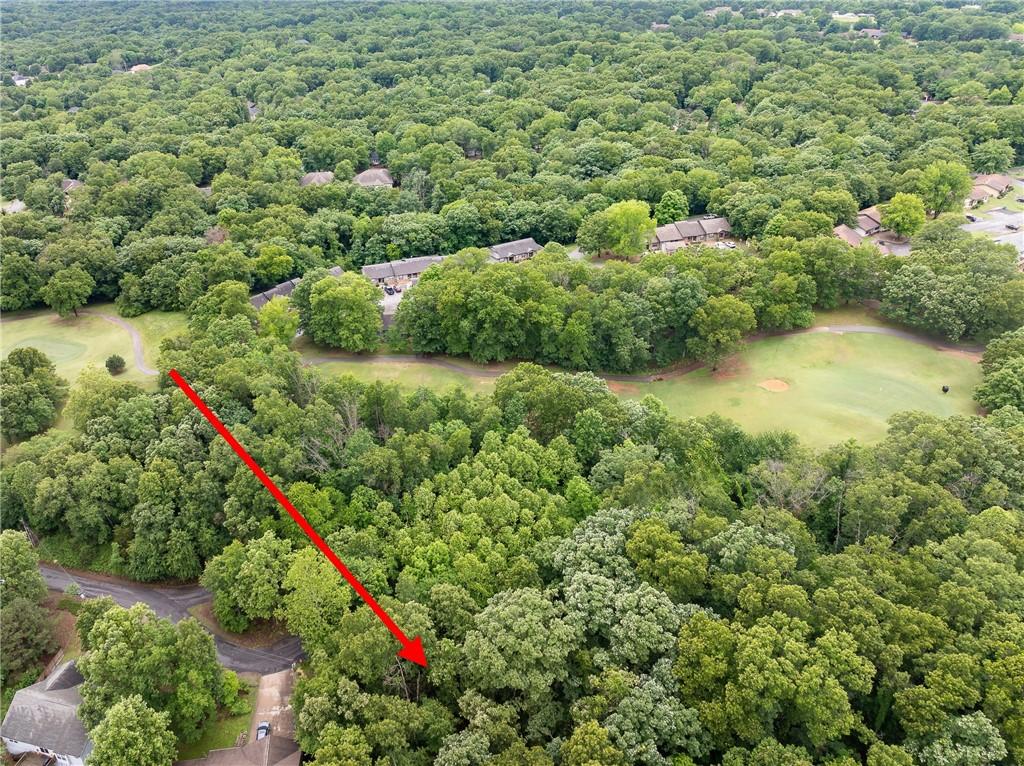 Image 3: Aerial view of lot 4