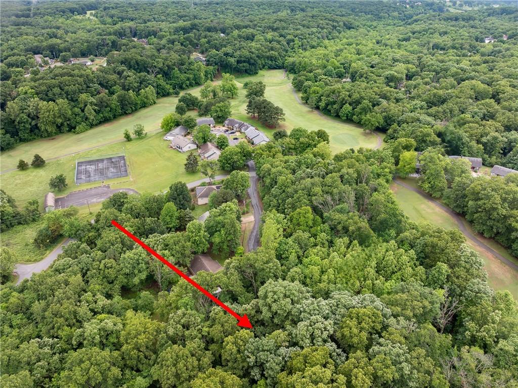 Image 4: Aerial view of Canova Place and lot 4