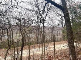 Lot 85 Shady Glen Drive