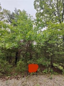 40 Blackfoot Drive