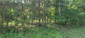 State Line Drive