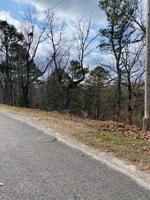 15 Thunderbird Drive