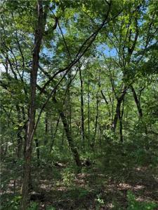 Lot 15 Woodside Lane