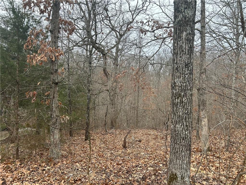 Image 1: View of tree filled area