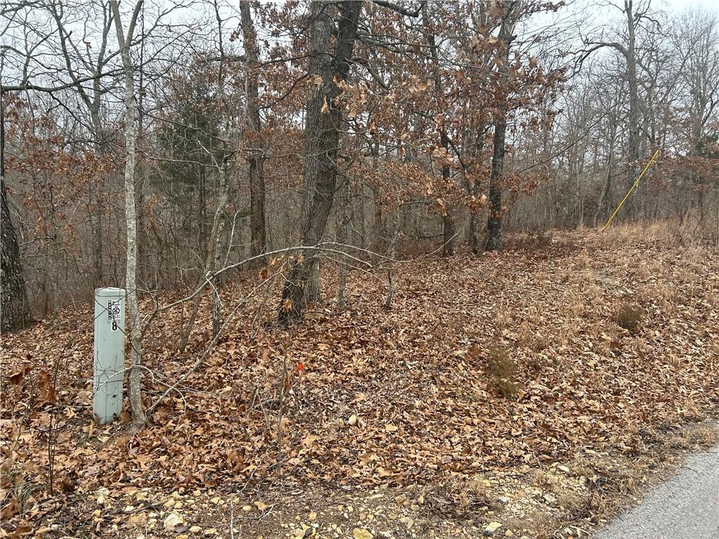 Image 2: View of local wilderness