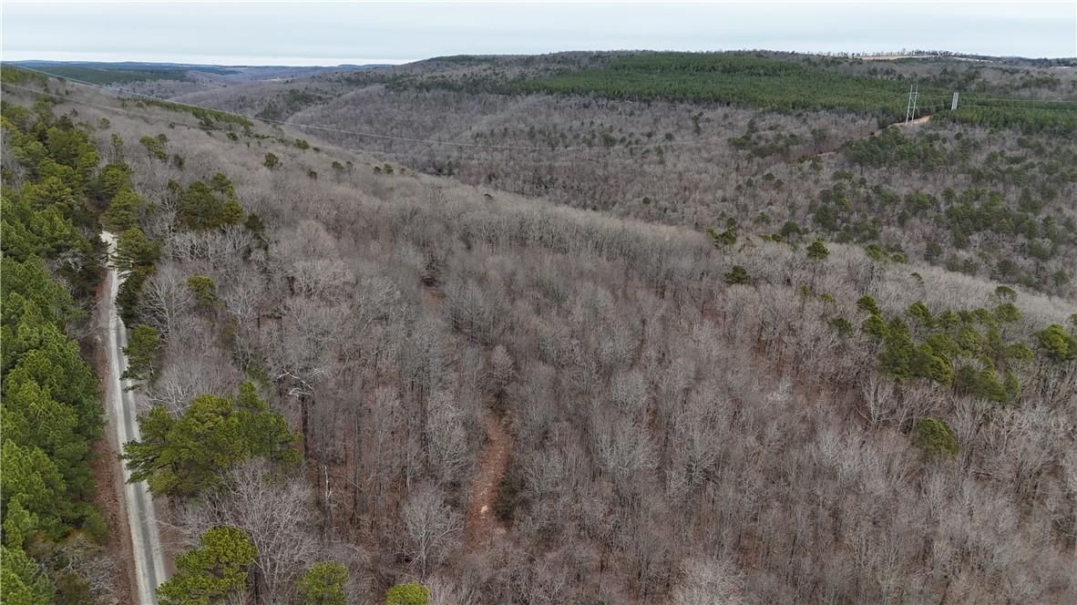 Image 1: View of mountain background with a forest