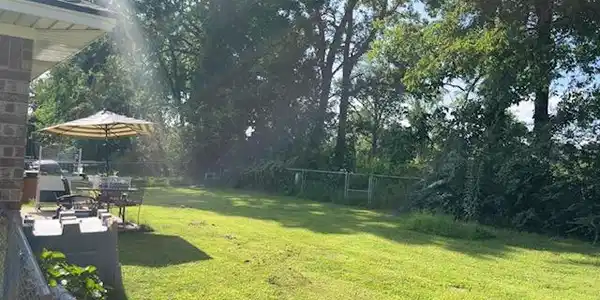 Image 4: Expansive backyard featuring a green lawn, mature