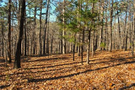 3.1 acres Railroad Cut Road