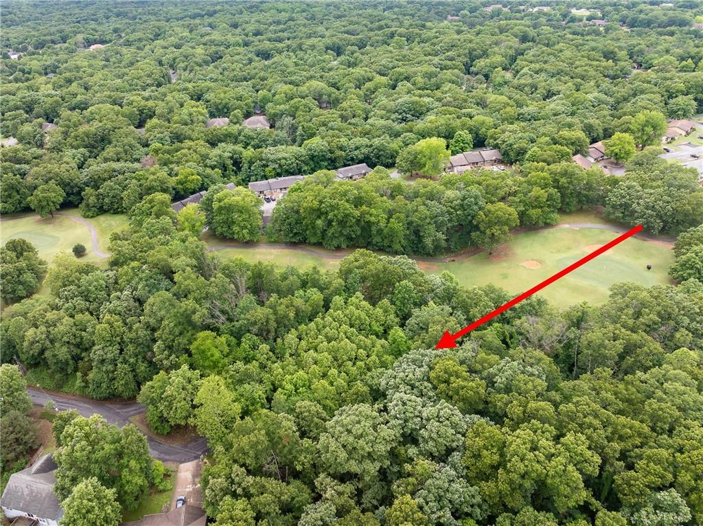 Image 3: Aerial view