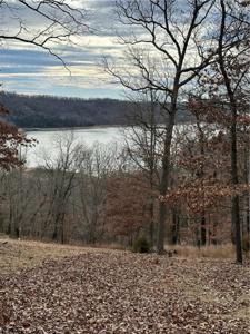 Timber Lake & Clearwater Lane