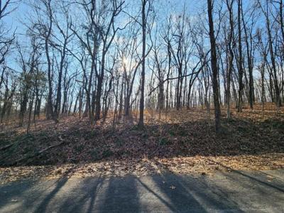 Lot 8 Chelmsworth Circle