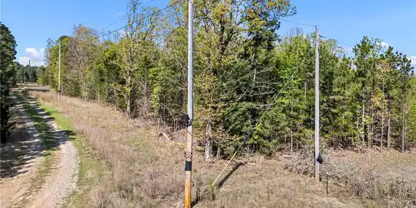 Image 3: View of undeveloped land