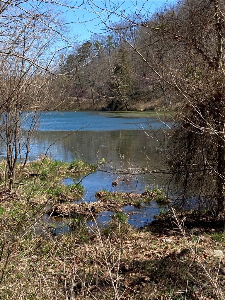 Image 1: Lot 10 Of Lake Lucerne Cabins